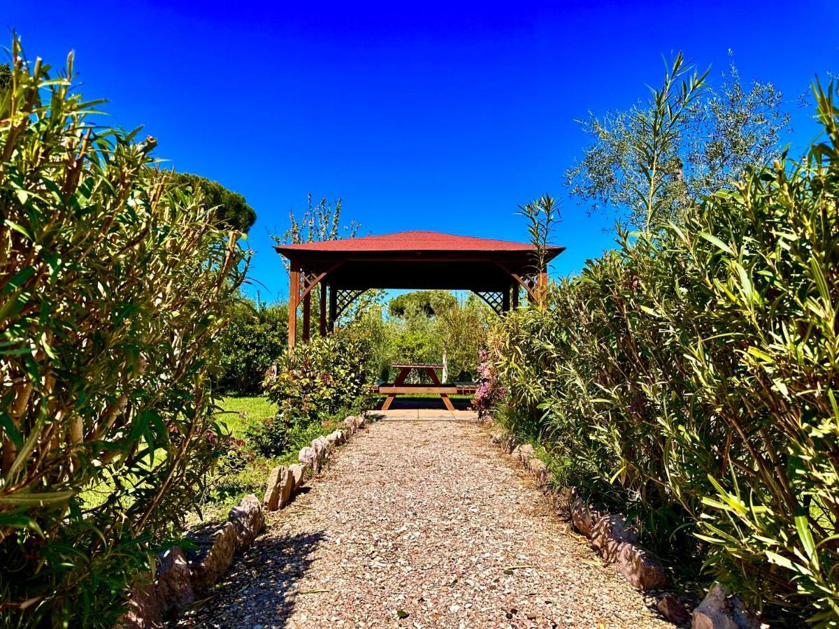 Agriturismo Re Di Fiori 多诺然蒂克 外观 照片