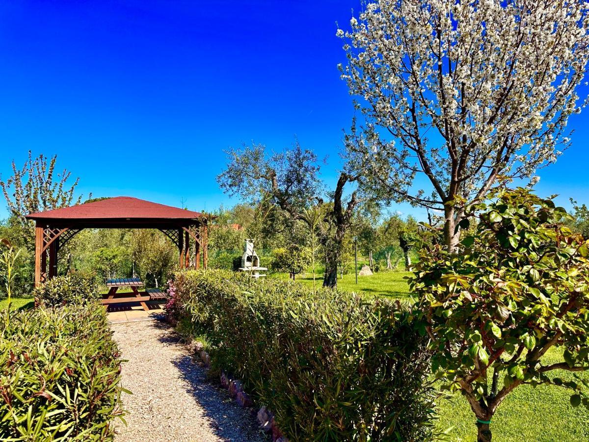 Agriturismo Re Di Fiori 多诺然蒂克 外观 照片