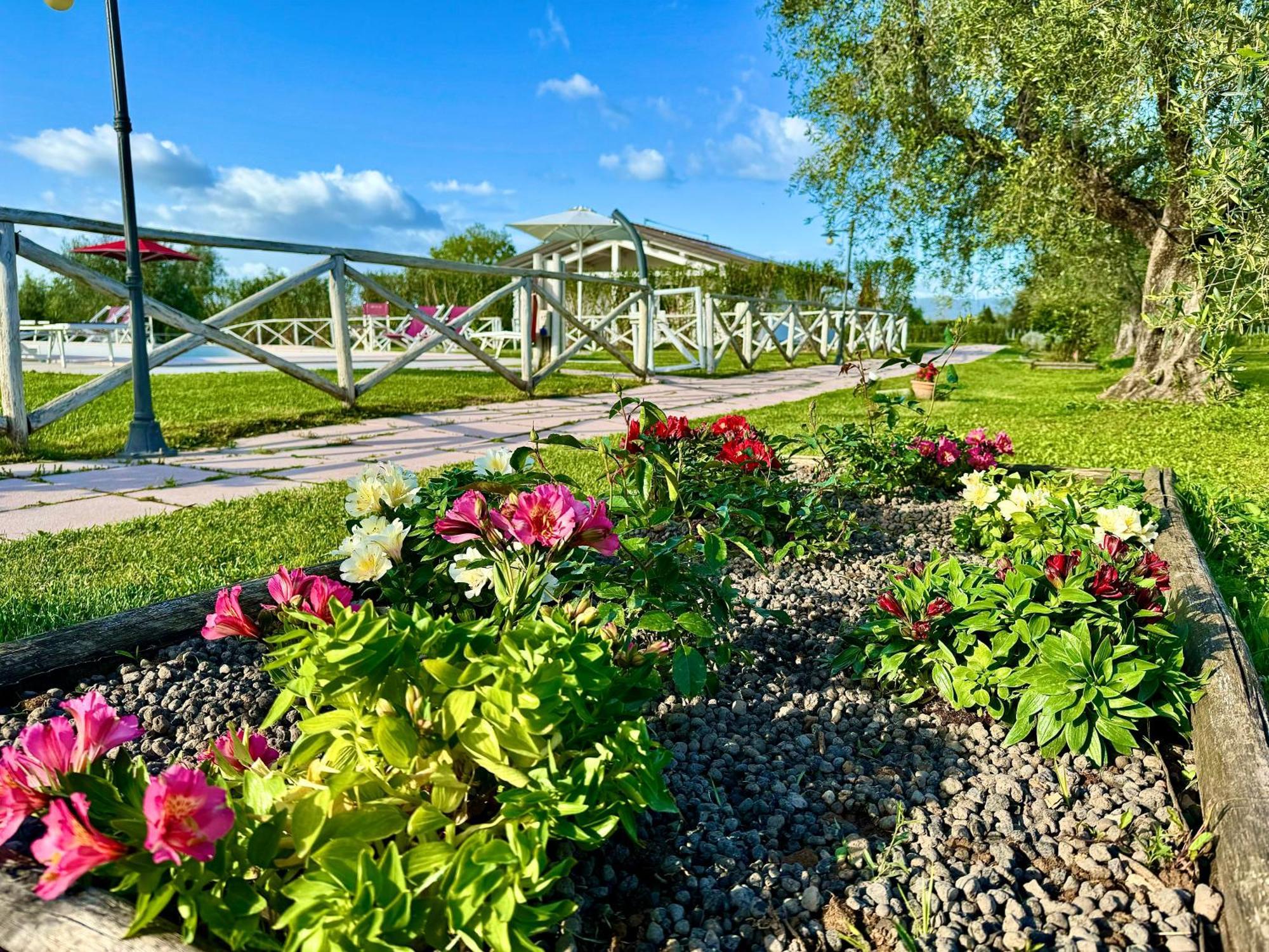 Agriturismo Re Di Fiori 多诺然蒂克 外观 照片
