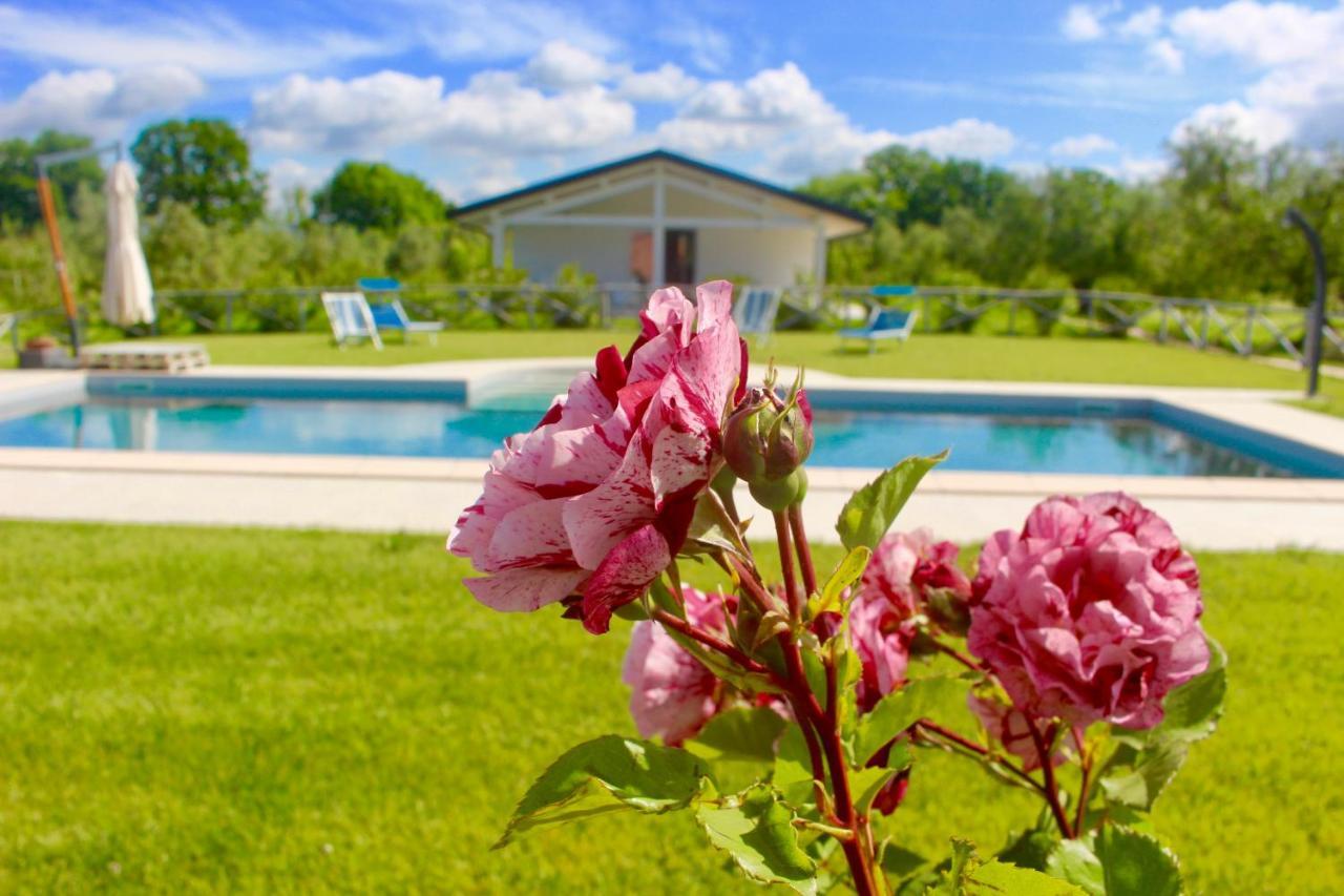 Agriturismo Re Di Fiori 多诺然蒂克 外观 照片