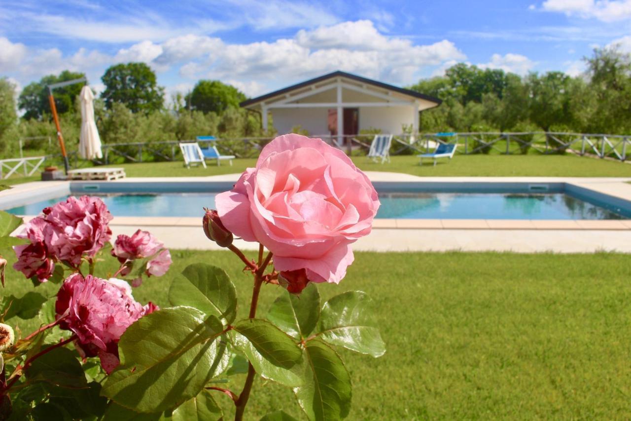 Agriturismo Re Di Fiori 多诺然蒂克 外观 照片